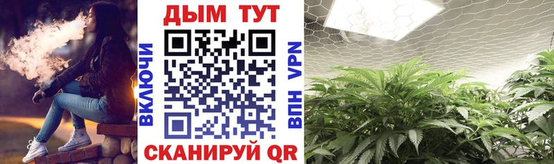A-PVP Данилов