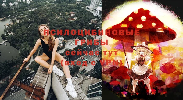 прущие крисы Протвино