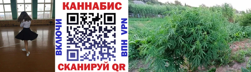 купить наркотики цена  Данилов  Канабис индика 
